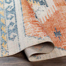 Buffalo Grove Global Burnt Orange Area Rug