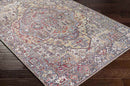 Manche Traditional Burnt Orange Area Rug