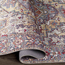 Manche Traditional Burnt Orange Area Rug