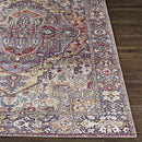 Manche Traditional Burnt Orange Area Rug