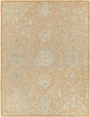 East Chicago Traditional Burnt Orange Area Rug