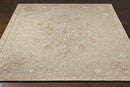 Logansport Traditional Beige Area Rug