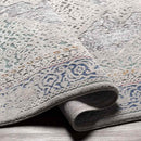 Modoc Traditional Pale Blue Area Rug