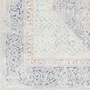 Modoc Traditional Pale Blue Area Rug