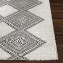 Spring Bay Global Dark Gray Area Rug
