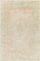 Portage Traditional Sage Area Rug
