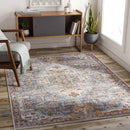 Glendale Heights Traditional Burnt Orange Area Rug