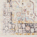Hanover Park Traditional Beige Area Rug