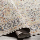 Hazel Crest Traditional Burnt Orange Area Rug
