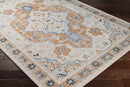Crystal Lake Traditional Burnt Orange Area Rug