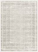Bloomfield Global Light Gray Area Rug