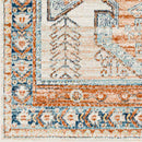 Cedar Grove Traditional Burnt Orange Area Rug