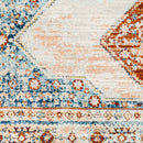 Charlottesville Traditional Burnt Orange Area Rug