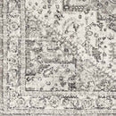 Dillsboro Traditional Gray Area Rug