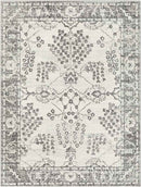 Dupont Traditional Gray Area Rug