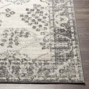 Dupont Traditional Gray Area Rug