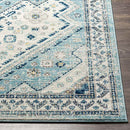 Earl Park Traditional Aqua Area Rug