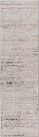Shenandoah Traditional Beige Area Rug