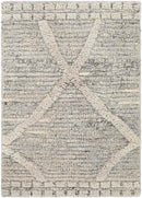 Thompson Global Beige Area Rug