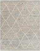 Thompson Global Beige Area Rug