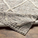 Thompson Global Beige Area Rug