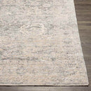 Van Wert Traditional Beige Area Rug