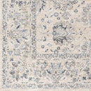 Villisca Traditional Beige Area Rug
