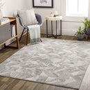 Gowrie Modern Beige Area Rug