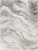 Earlton Modern Charcoal Area Rug