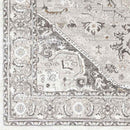 Griswold Traditional Gray Area Rug