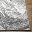 Earlton Modern Gray Area Rug