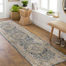 Harcourt Traditional Ice Blue Area Rug
