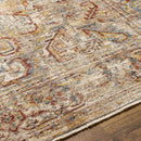 Hartley Traditional Rust Area Rug