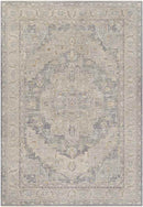 Varvara Traditional Light Gray Area Rug
