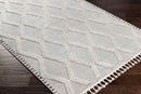 Ammochostos Global Gray Area Rug