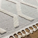 Ammochostos Global Gray Area Rug