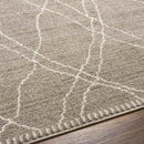 Psyllatos Global Gray Area Rug