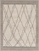 Chloraka Global Beige Area Rug