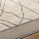 Chloraka Global Beige Area Rug
