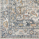 Lake Mills Traditional Ivory Area Rug