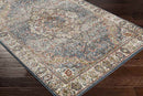 Lake Park Traditional Taupe Area Rug