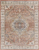 Lake Park Traditional Burnt Orange Area Rug