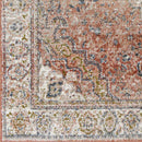 Lake Park Traditional Burnt Orange Area Rug