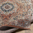 Lake View Traditional Burgundy Area Rug