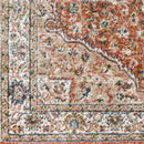 Lamoni Traditional Burnt Orange Area Rug