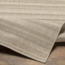 Pau Global Brown Area Rug