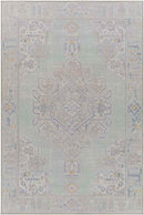 Limassol Traditional Light Green Area Rug