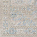 Pachna Traditional Beige Area Rug