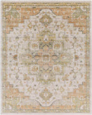 Deftera Traditional Burnt Orange Area Rug