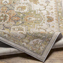 Deftera Traditional Burnt Orange Area Rug